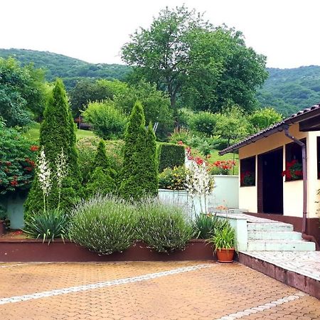Hotel Silva House Deva Exterior foto
