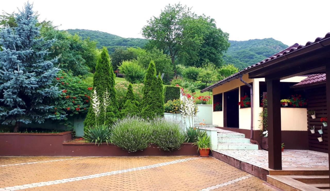 Hotel Silva House Deva Exterior foto