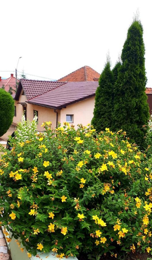 Hotel Silva House Deva Exterior foto