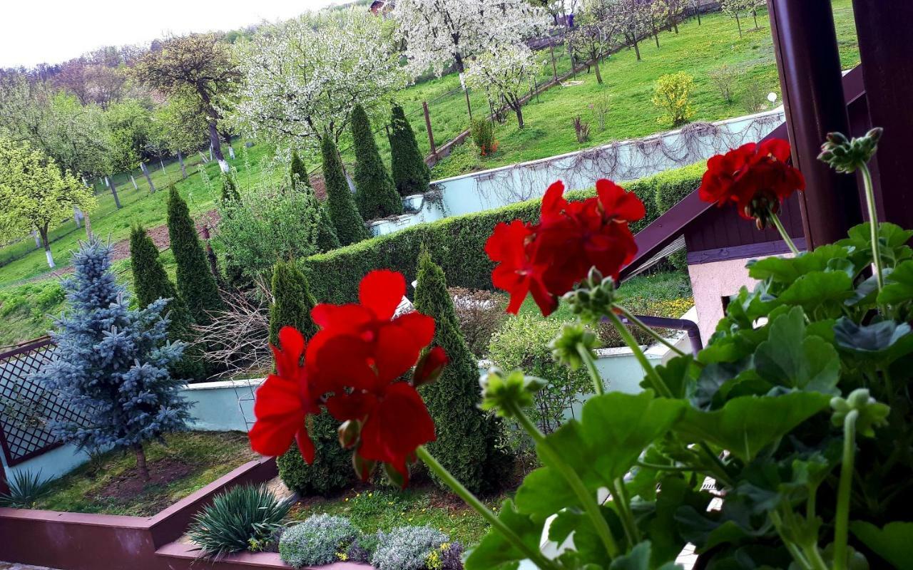 Hotel Silva House Deva Exterior foto